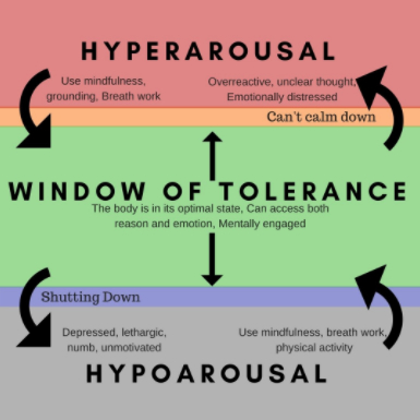 window of tolerance